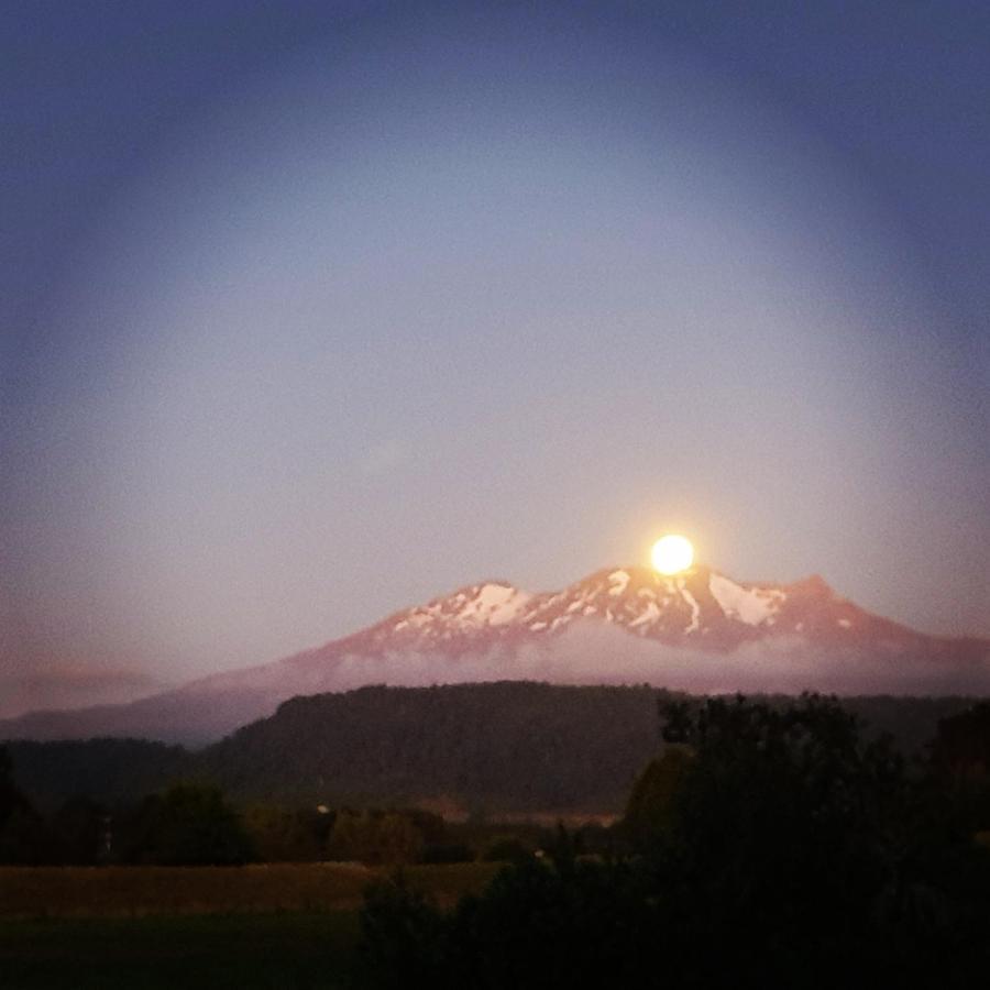 Beech Tree Lodge Ohakune Dış mekan fotoğraf