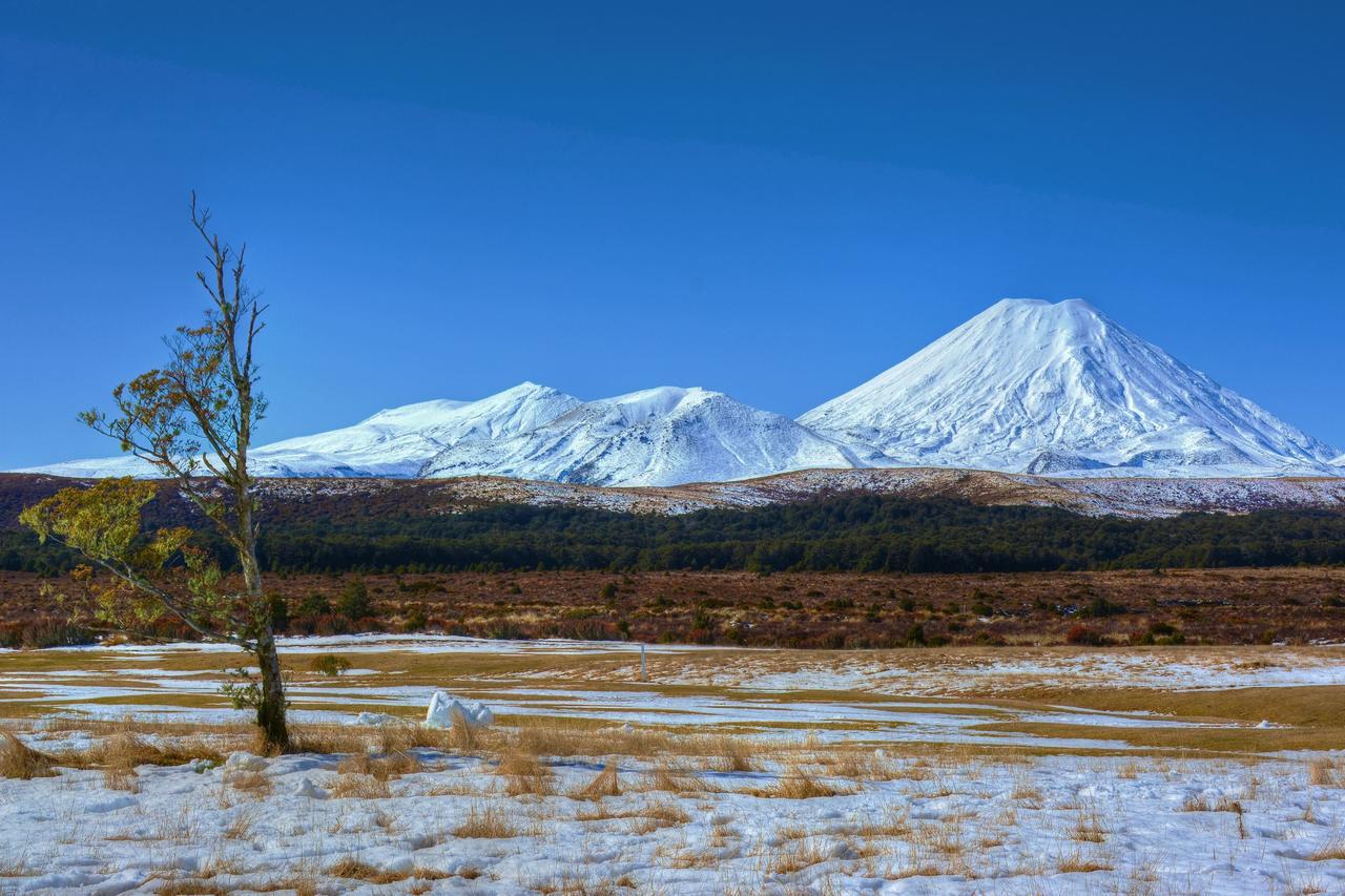 Beech Tree Lodge Ohakune Dış mekan fotoğraf